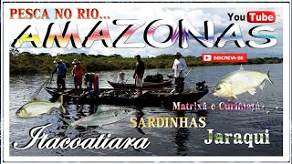 Pescaria no Amazonas [upl. by Rento]