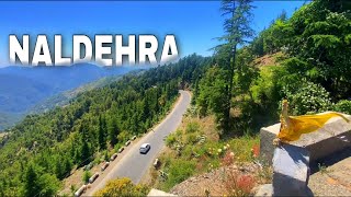 NALDEHRA Near Shimla NATURE TREAT Best picture Perfect place  JUST 40 min FAR [upl. by Jariv]