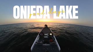 LATE SUMMER ONIEDA LAKE BASS FISHING [upl. by Ahsiekat]