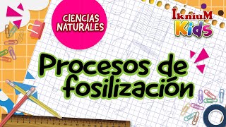 Procesos de fosilización  IkniuM Kids [upl. by Nivert]