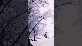 Winter Urlaub Schnee nature music [upl. by Maharva]