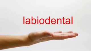 How to Pronounce labiodental  American English [upl. by Edgard]