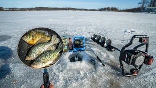 Ice Fishing CATCH and COOK So Delicious [upl. by Estey]