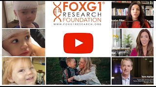 The FOXG1 Research Foundation [upl. by Ethelstan826]