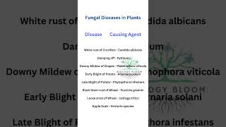 Fungal Diseases in Plants biologybloom [upl. by Elysha]