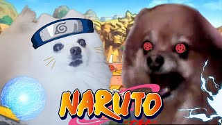 나루토  솟구치는 투지 Naruto quot The Raising Fighting Spirit quot 강아지 리믹스 dog remix [upl. by Cilurzo]