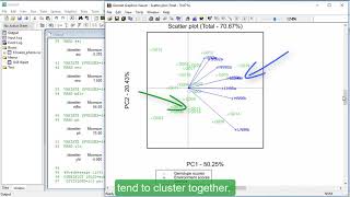 GGE biplots in Genstat [upl. by Eras]