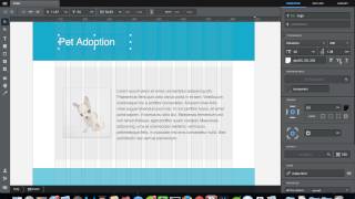 Macaw  Web Design Tool Introduction [upl. by Llenrup]