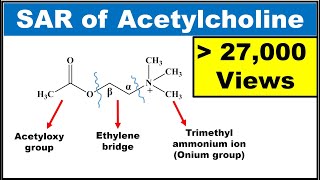 SAR of Acetylcholine SAR of Parasympathomimetics Explained with structures [upl. by Burkhardt409]