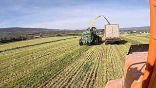 Chopping triticale day 2 amp baling fodder [upl. by Naloc]