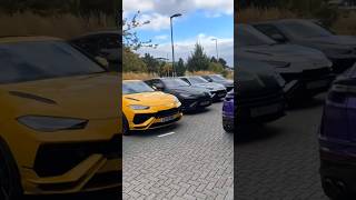 Yiannimize Lamborghini Urus Tour 😻🤩 shorts supercars carlover lamborghini youtubeshorts [upl. by Iila878]