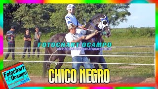 CHICO NEGRO  Tres Isletas  Chaco 24042022 [upl. by Pilihp]