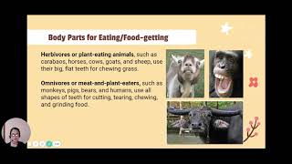 Body Parts of Animals  For Moving and Eating [upl. by Royo]