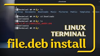 How to Install deb Files via Command Line  Linux [upl. by Akimert]