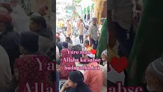 Khuda ki nemat mamshortfeedsnaat shortsshortvideo shortsviral shortvideo [upl. by Namrac174]