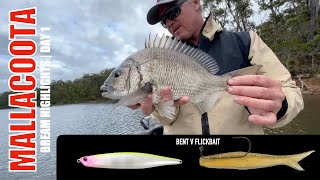 2024 BREAM Mallacoota  Highlights Day 1 [upl. by Kellina514]