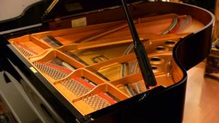 Yamaha C5 Grand Piano for Sale  Yamaha C5 Piano  Built in 2001 [upl. by Ahso917]