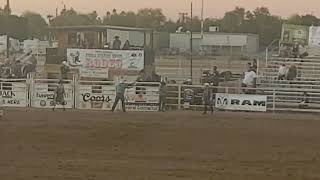 rodeo in Yuma Arizona Feb 20223 [upl. by Oz]