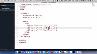 HTML indentation How to indent [upl. by Gnak830]