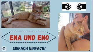 Ena und Eno  Einfach quoteinfachquot [upl. by Nolrah175]