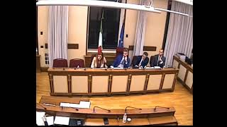 2 Commissione Covid 19 Audizione Associazione Sereni e sempre uniti [upl. by Waligore]