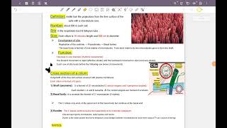 Centriole هستولوجي [upl. by Odlaner]