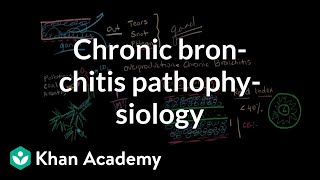 Chronic bronchitis pathophysiology  Respiratory system diseases  NCLEXRN  Khan Academy [upl. by Ellwood]