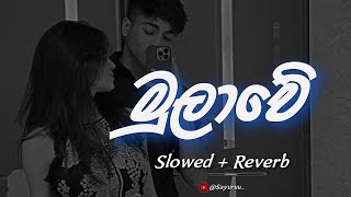 Mulawe මුලාවේ  Slowed  Reverb [upl. by Lielos]