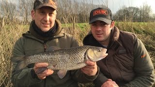 Chub Fishing On The River  Rigs Tips amp Tactics [upl. by Vial]