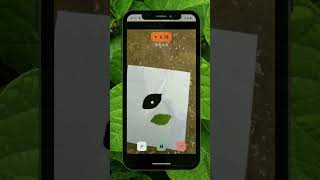 Petiole Pro Specific Leaf Area Accurate and Quick  Digital Leaf Area Meter in Your Smartphone [upl. by Lanam630]