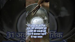 31 october Kartik mas ki amavasya ko Tulsi ki lakadi Ko jal mein dalne se MHA upaytrending [upl. by Penman]