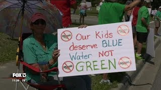 Demonstrators at Gov Scott event want action on red tide [upl. by Liesa161]