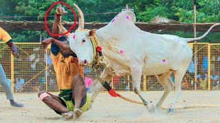 Maadu Meikkum Kanne by Padmashri Awardee Sangita Kalanidhi Smt Aruna Sairam [upl. by Ayenet]