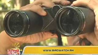 Unang Balita Birdwatching [upl. by Natty]