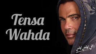 Amr Diab  Tensa Wahda  Español [upl. by Eedak]