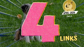 Best Four Doge Unblocker Links 2024 [upl. by Viafore]