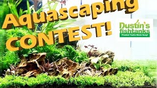 Planted Aquarium Design Aquascaping Contest New York 2017 [upl. by Adlitam]