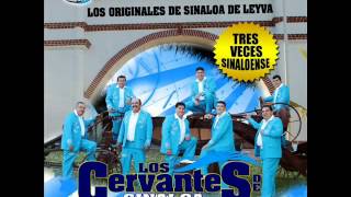 los cervantes de sinaloa de leyva 2012quiero cantarte a tiwmv [upl. by Admama133]