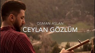 Ceylan Gözlüm  OSMAN ASLAN [upl. by Westbrooke]