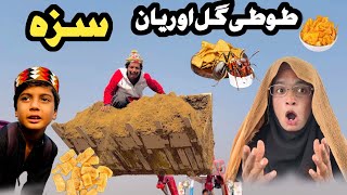 Tuti Gull Ao Reyan Saza  New Funny Video 2024 By Tuti Gull Official [upl. by Yetty847]