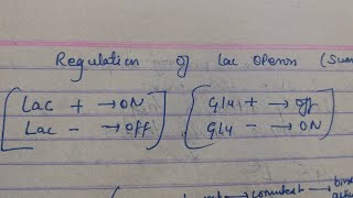 Regulation of Lac Operon short summary  Recall with me [upl. by Nikos]