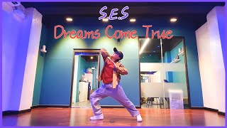 S E S 에스이에스  Dreams Come True  안무 거울모드  Dance Cover Mirror Mode [upl. by Inamik963]