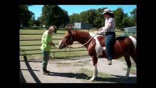 Transition to Riding from Liberty Foundations Groundwork September 2013 Clinic [upl. by Yra626]