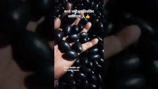 नर्मदेश्वर शिवलिंग शालिग्रामshivling Shaligram Narmadeshwar ytshorts shortsvideo Shaligram [upl. by Aeiram]