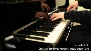 Restaurierter GrotrianSteinweg Konzertflügel Model 240  Chopin  Nocturne e moll [upl. by Atiraj998]