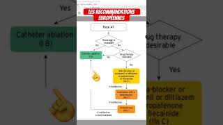 Extrasystoles et Tachycardie atriale focale  que disent les recommandations européennes [upl. by Chace]