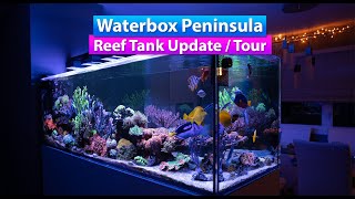 Waterbox Peninsula 7225  Saltwater Aquarium Reef Tank Update amp Tank Tour [upl. by Elyse]