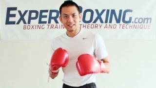 Advanced Theory on Boxing Reflexes [upl. by Huang]