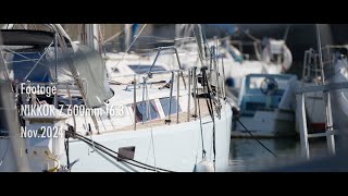 Footage  NIKKOR Z 600mm f63  Nov2024 [upl. by Kristy2]