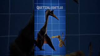 ¿Sabías que jurassicworlddominion quetzalcoatlus morosintrepidus ornithocheirus microraptor [upl. by Wolenik638]